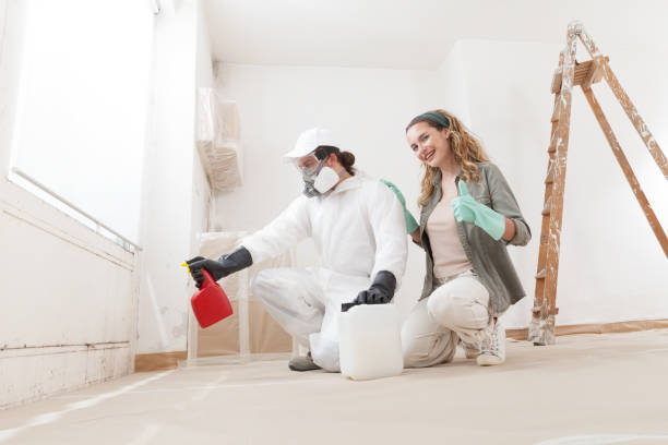 Best Asbestos and Lead Testing During Mold Inspection  in Kane, PA